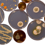 Verbrauchsmaterial Labor