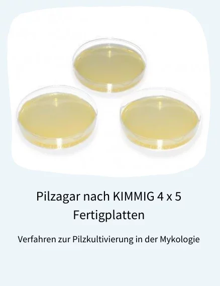 Pilzagar nach KIMMIG 4 x 5 Fertigplatten