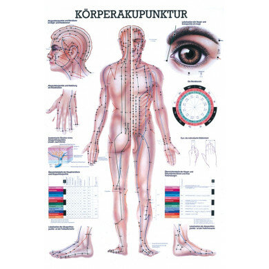 anatomische Mini-Poster: Körperakupunktur 24 x 34 cm laminiert