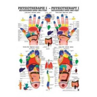 anatomische Poster: Physiotherapie Reflexzonen Hand und...