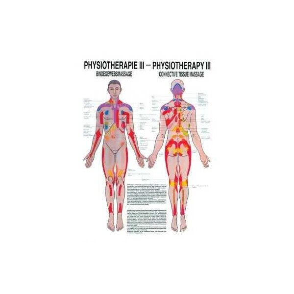 anatomische Poster: Physiotherapie Bindegewebsmassage, 50 x 70 cm, Papier zweisprachig