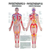 anatomische Poster: Physiotherapie Bindegewebsmassage, 50...