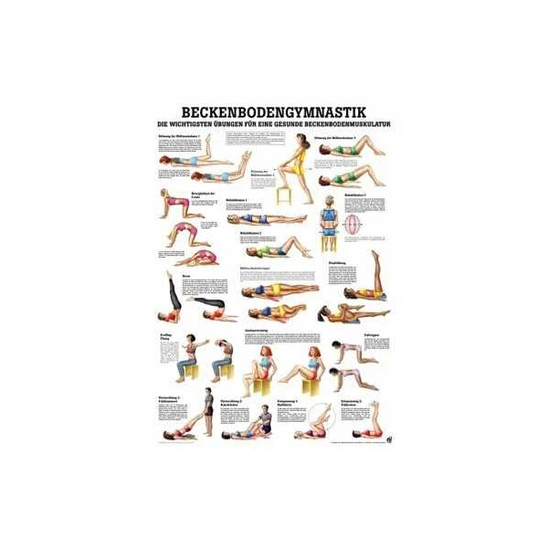 anatomische Lehrtafel: Beckenbodengymnastik 70 x 100 cm, laminiert