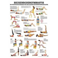 anatomische Lehrtafel: Beckenbodengymnastik 70 x 100 cm,...