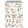anatomische Lehrtafel: Beckenbodengymnastik 70 x 100 cm, laminiert