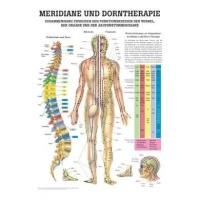 anatomische Lehrtafel: Dorntherapie und Meridiane, 70 x...