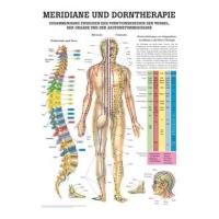 anatomische Lehrtafel Dorntherapie und Meridiane 70 x 100...