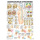 anatomische Lehrtafel: Craniosacrale Osteopathie 70 x 100 cm, laminiert