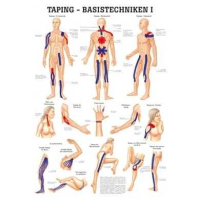 anatomische Lehrtafel Taping-Basistechniken I 70 x 100 cm...