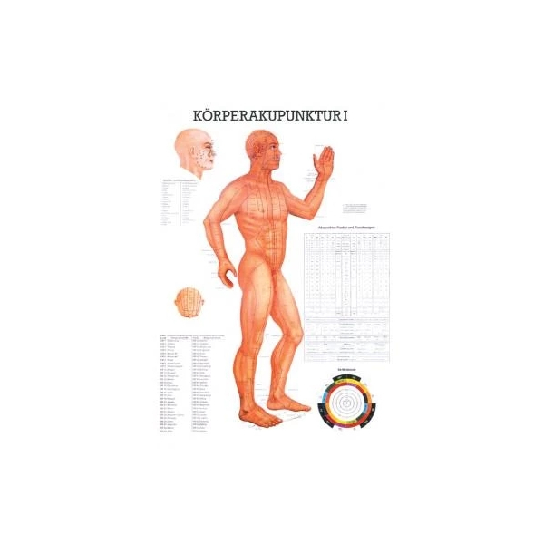 K&ouml;rperakupunktur-Lehrtafel, Papierversion