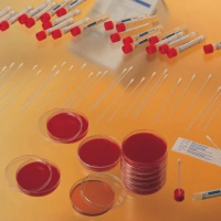 Gardnerella-Selektiv-Agar mit 5 Humanblut  20 St&uuml;ck