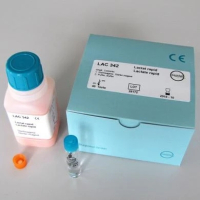 Lactat-Rapid  40 St&uuml;ck