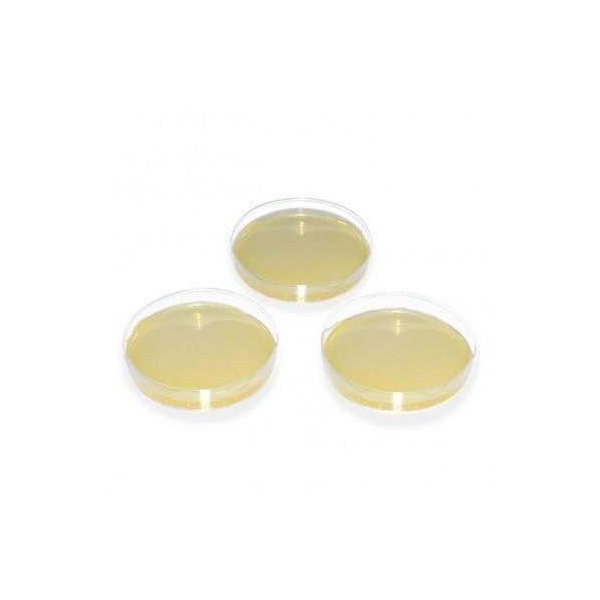 Sabouraud Agar 2 % Glucose Mini 60 mm 4 x 5 Platten