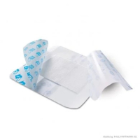 Hydrofilm 12x25cm AP 25 St&uuml;ck