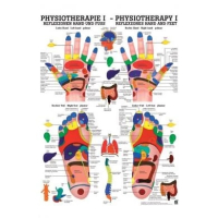 Hand Fu&szlig; Set 2x7 Orthop&auml;die-Traumatologie