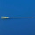 Sterican Sonderkanülen, 0,90 x 70 mm VE = 100 Stück 4665791B