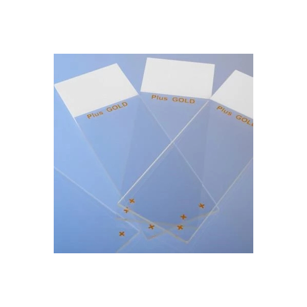 Zellarit Reflexhammer gold 110Gr&ouml;&szlig;e Silikonpuffer 23 +10mm