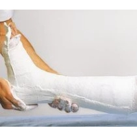 Cellona-Long., 20mx12cm