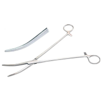 OVERHOLT Geissendoerfer, Fig.  1 St&uuml;ck