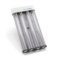 Aufbewahrungsboxen f. Einweg-Ohrtrichter Kleenspec...