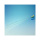Einmal-Tiemannkatheter ratiomed Ch. 8,blau