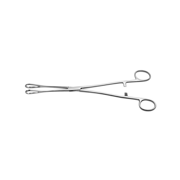 Rampley Schwammzange,gerade, 25 cm